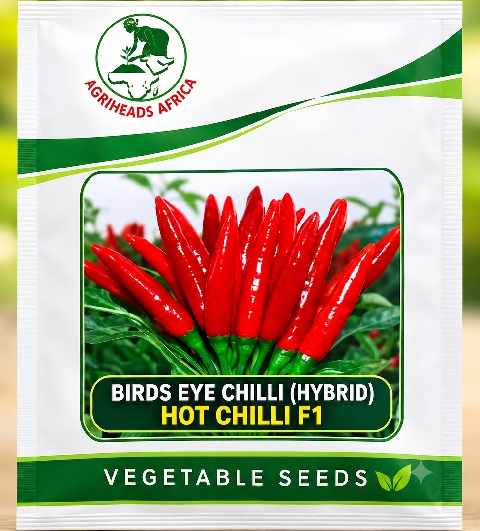 Hot Chilli F1