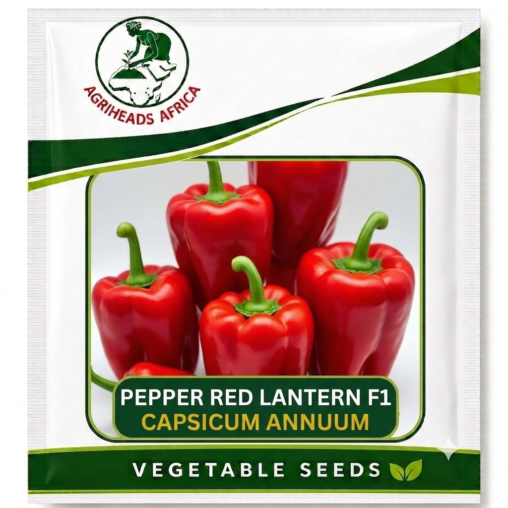 Pepper Red Lantern F1